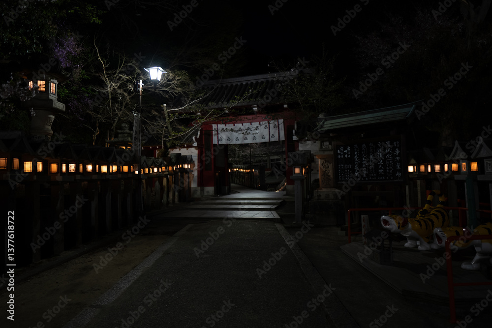 Fototapeta premium Templo Budista en Japón de Noche