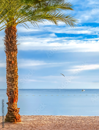 Morning on golden sandy beach at the Red Sea, Middle East