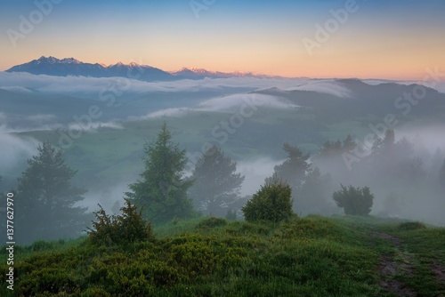 Mountain landscape with fog after rain, peaks in the fog. Beautiful, colorful spring panorama of Pieniny Mountains and Tatra Mountains in the fog and morning light, Poland, Slovakia photo