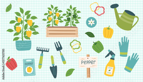 Pepper cliparts isolated on checkered background. Pepper vegetable. Gardening concept. Pepper and equipment for planting vegetables. Vector hand drawn illustration.