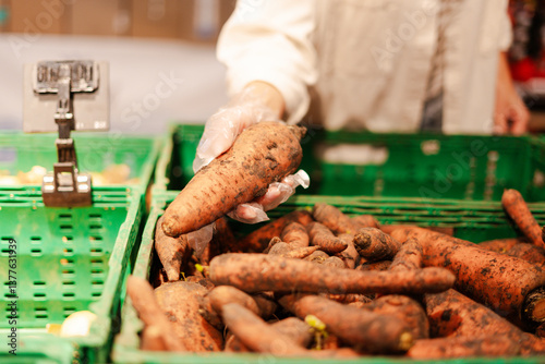 Supermarket employee picking carrots wearing gloves in a produce section, closeup