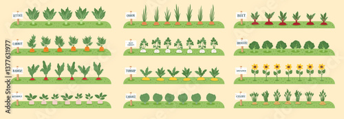 Gardening and farming concept banner. Nature background with beds with vegetables. Regenerative and sustainable farming concept. Vector flat background. Vegetable cliparts.