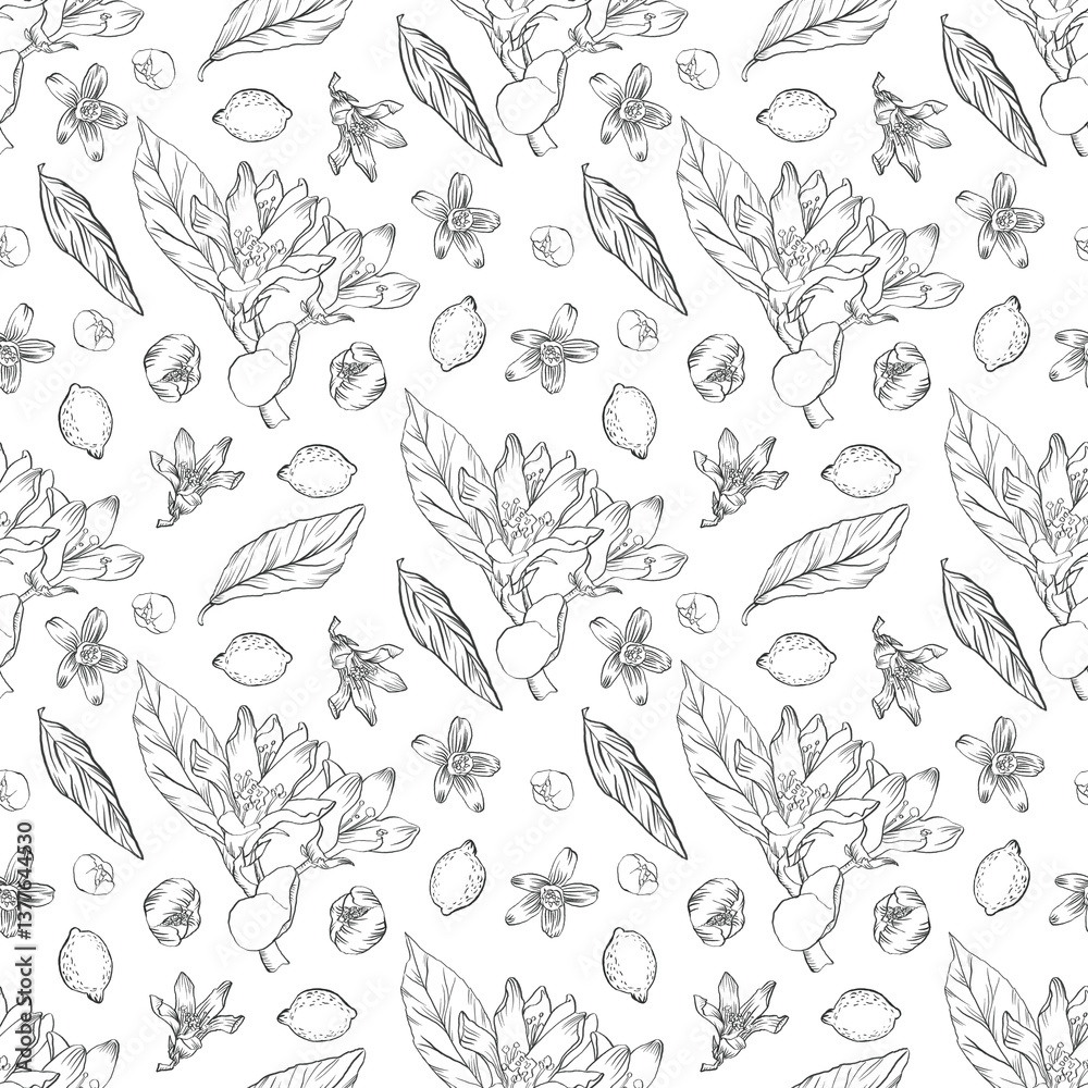 Fototapeta premium Lemon Blossom Seamless Pattern, botanical line art design