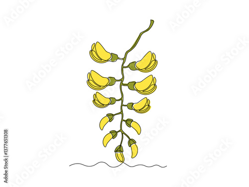 Abstract branch with acacia flowers, continuous single one line art hand drawing sketch logo