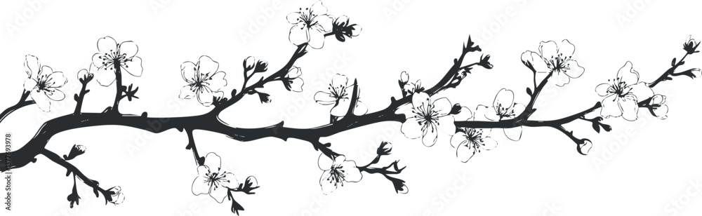Fototapeta premium A silhouette of a blossoming branch with delicate flowers, perfect for elegant decor or design.
