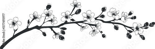 Black and white illustration of a cherry blossom branch with delicate flowers and petals.
