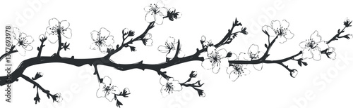 A silhouette of a blossoming branch with delicate flowers, perfect for elegant decor or design.