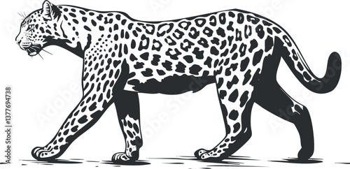Black and white silhouette of a walking leopard with detailed spots and rosette pattern.
