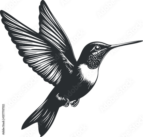 Detailed black and white illustration of a flying hummingbird with outstretched wings and intricate features.