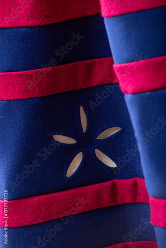 Close-Up Detail of Medieval Dress Embroidery. Intricate floral pattern on a historical red and blue gown.