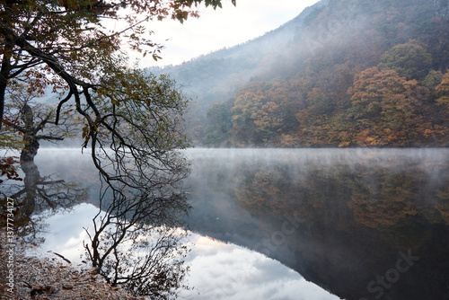 청송 주산지, 안개와 반영이 어우러진 고요한 가을 풍경 – Jusanji Pond in Autumn Mist, Cheongsong, Korea