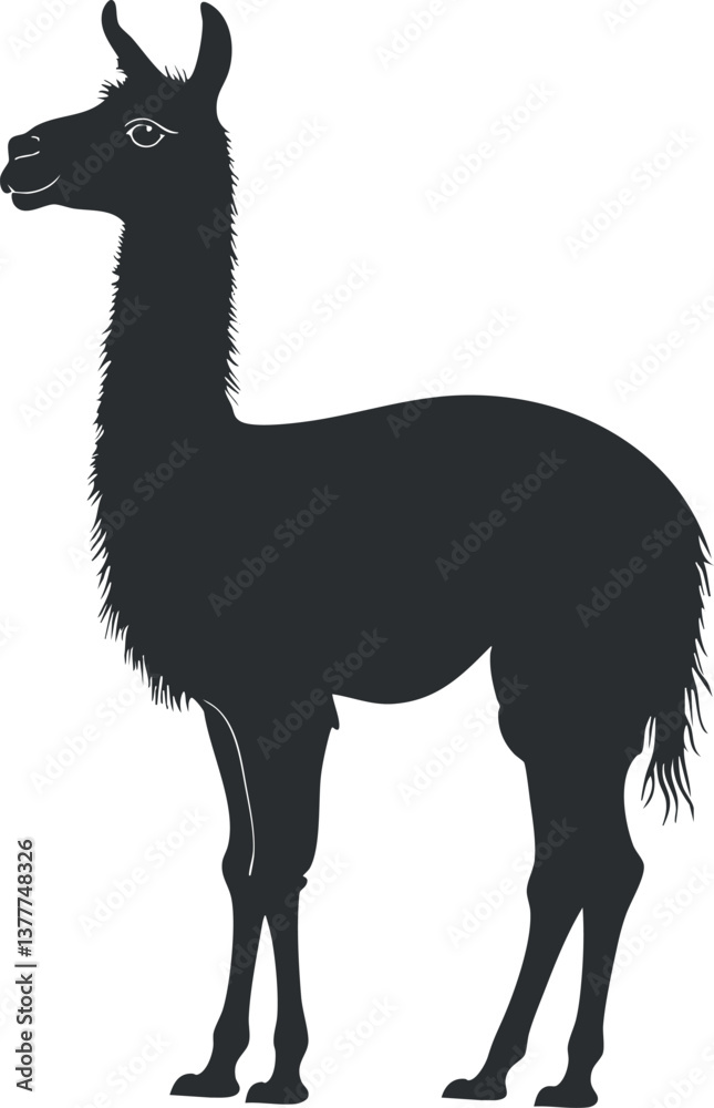 Fototapeta premium Black silhouette of a llama standing, showcasing its distinct shape and features.