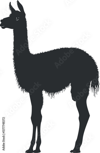 Silhouette of a llama standing, showcasing its distinct shape and features in black outline.