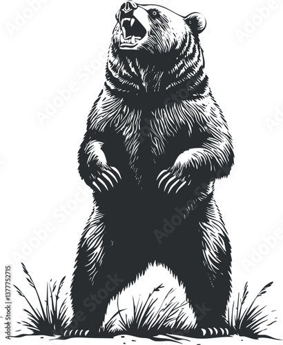Illustration of a roaring grizzly bear standing on hind legs in a black and white style.