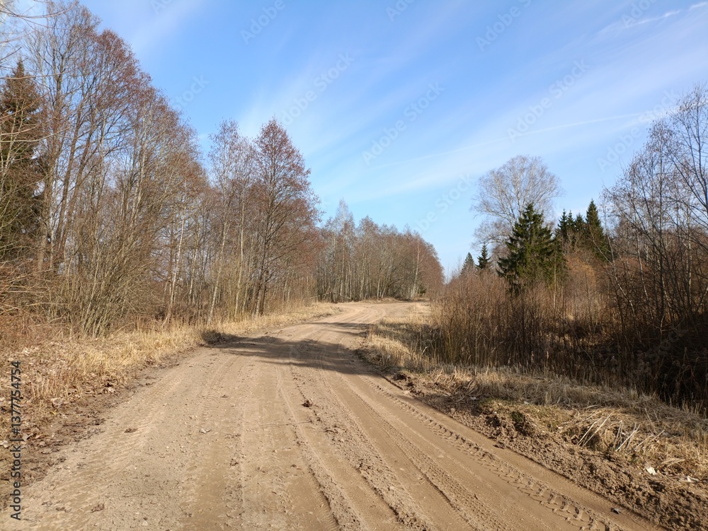 Road in forest in Siauliai county during sunny spring day. Oak and birch tree woodland. Spring day with white clouds in sky. Bushes are growing in woods. Sandy road. Nature. Spring season. Miskas. Road in forest in Siauliai county during sunny spring day. Oak and birch tree woodland. Spring day with white clouds in sky. Bushes are growing in woods. Sandy road. Nature. Spring season. Miskas.