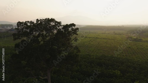 Tranquil Landscape of Green Fields and Distant Mountains Under Hazy Sky, Embracing Natures Beauty and Rural Scenery in Perfect Harmony