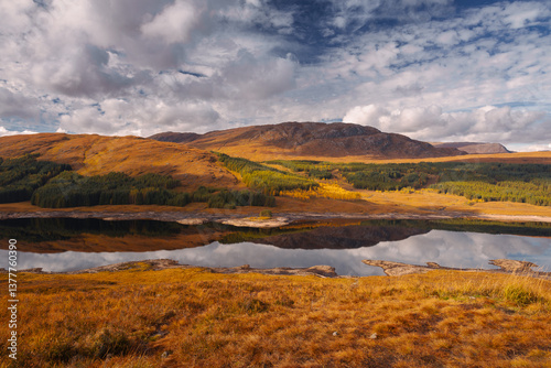 Obraz na płótnie Golden heather blankets the Scottish Highlands, where misty peaks rise above deep glens and serene lochs. Autumn’s glow paints a landscape of wild, untamed beauty. w salonie