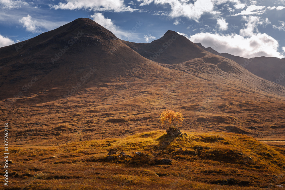 Golden heather blankets the Scottish Highlands, where misty peaks rise above deep glens and serene lochs. Autumn’s glow paints a landscape of wild, untamed beauty.