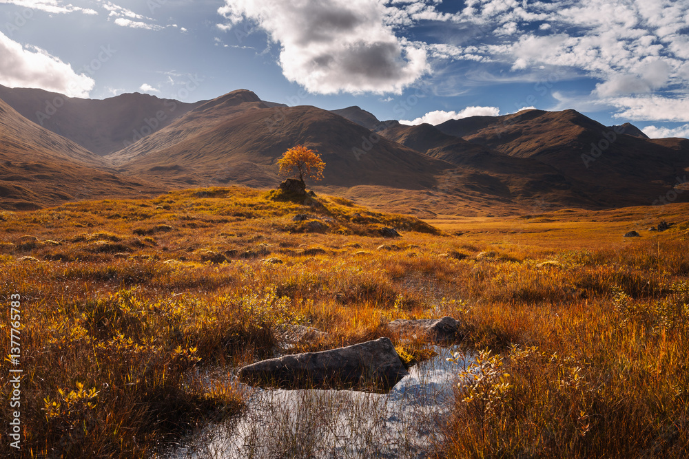 Golden heather blankets the Scottish Highlands, where misty peaks rise above deep glens and serene lochs. Autumn’s glow paints a landscape of wild, untamed beauty.