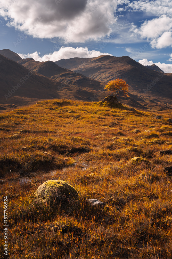 Golden heather blankets the Scottish Highlands, where misty peaks rise above deep glens and serene lochs. Autumn’s glow paints a landscape of wild, untamed beauty.