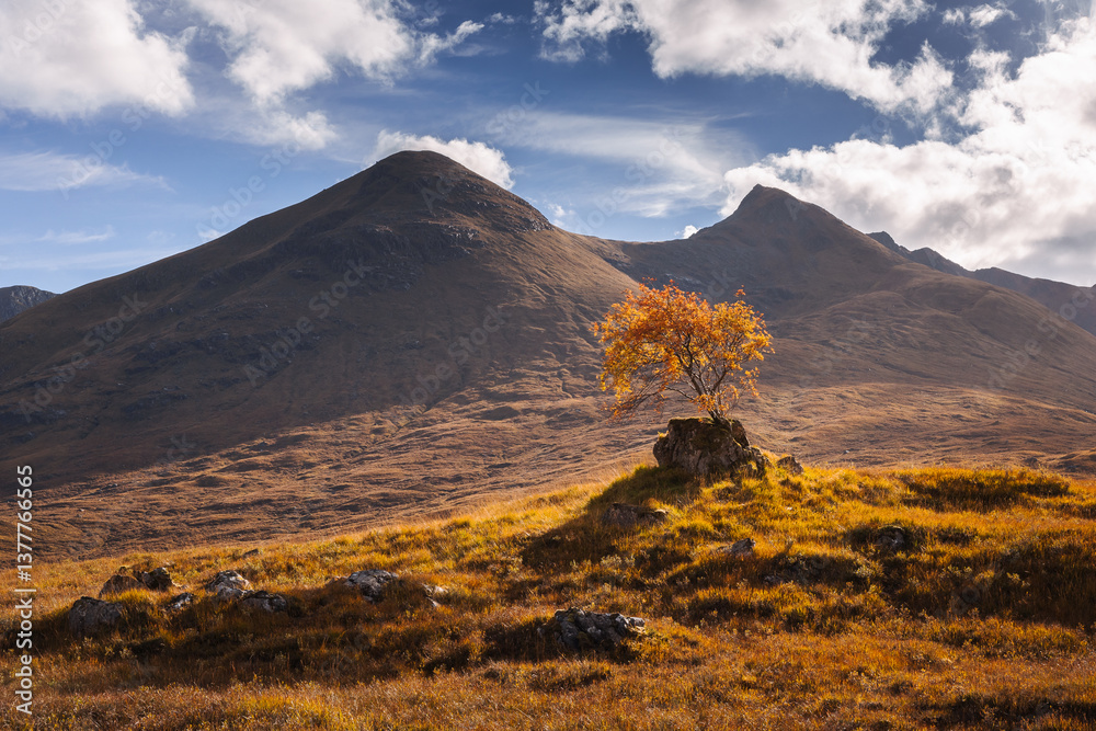 Golden heather blankets the Scottish Highlands, where misty peaks rise above deep glens and serene lochs. Autumn’s glow paints a landscape of wild, untamed beauty.