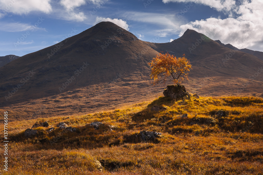 Golden heather blankets the Scottish Highlands, where misty peaks rise above deep glens and serene lochs. Autumn’s glow paints a landscape of wild, untamed beauty.