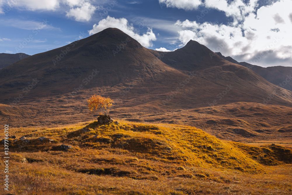 Golden heather blankets the Scottish Highlands, where misty peaks rise above deep glens and serene lochs. Autumn’s glow paints a landscape of wild, untamed beauty.