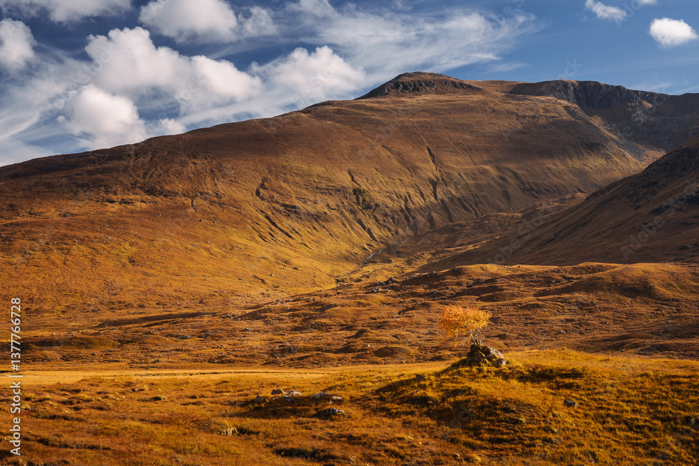 Golden heather blankets the Scottish Highlands, where misty peaks rise above deep glens and serene lochs. Autumn’s glow paints a landscape of wild, untamed beauty.