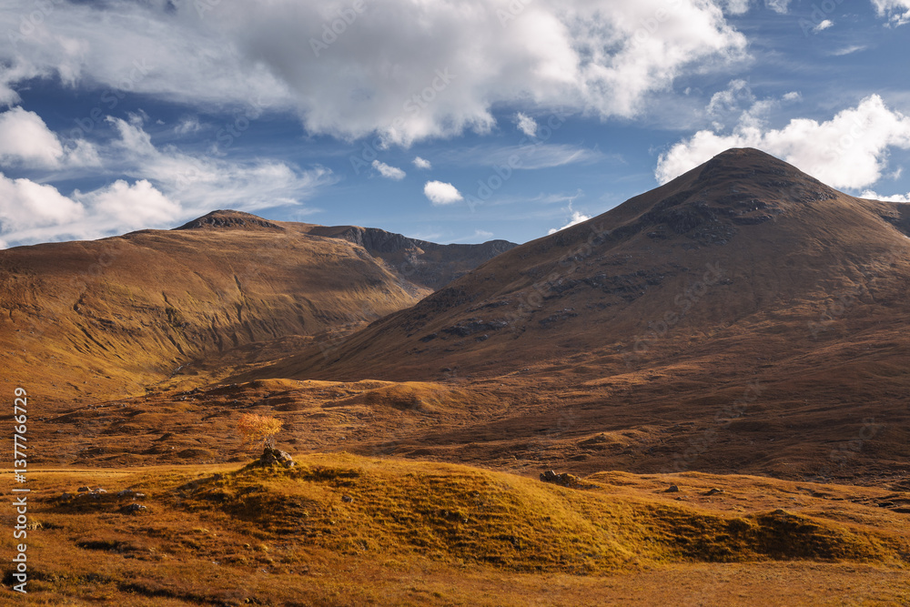 Golden heather blankets the Scottish Highlands, where misty peaks rise above deep glens and serene lochs. Autumn’s glow paints a landscape of wild, untamed beauty.