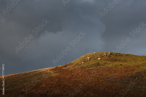 Obraz na płótnie The Isle of Skye’s autumn landscapes blend golden moors, misty peaks, and rugged coastlines. A land of dramatic beauty, where nature’s wild spirit thrives. w salonie
