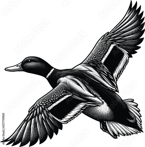 Mallard Duck vector black silhouette cricut design for T-Shirt