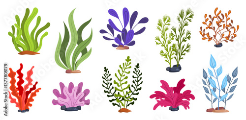 Collection of Colorful Seaweed and Algae Plants.