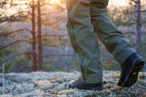 A man walks in a spring forest at sunset. Membrane hiking pants and trekking boots in close-up in focus, background is blurred
