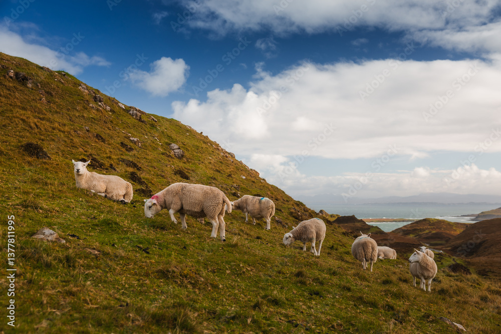 The Isle of Skye’s autumn landscapes blend golden moors, misty peaks, and rugged coastlines. A land of dramatic beauty, where nature’s wild spirit thrives.