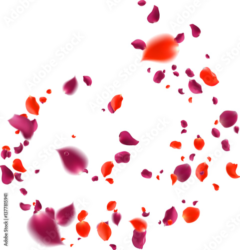 Purple red roses scattered in a spiral will fall on abstract floral background with gorgeous rose petal greeting card design.
