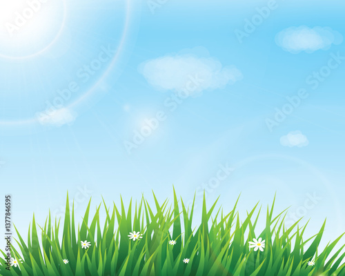 Nature background with green grass and blue sky