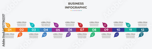 Business Visualization Timeline Infographic