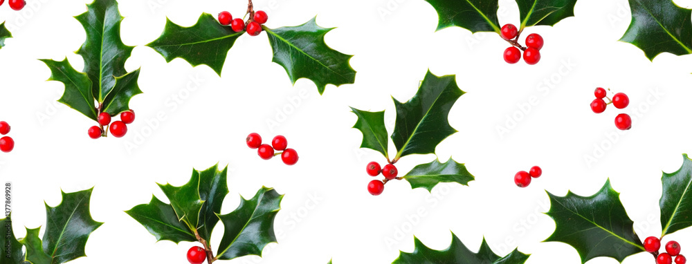 Fototapeta premium Flat lay of holly leaves and red berries on a white background