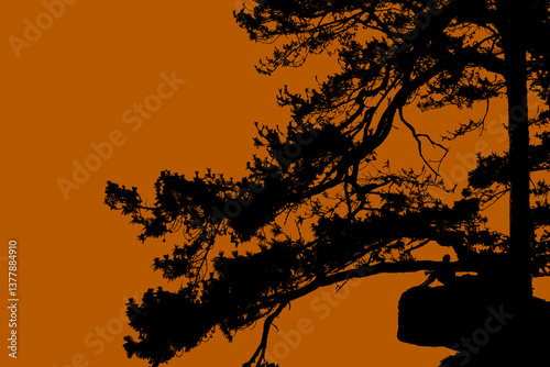 Silhouette photo style of people or traveler at sunset time at 