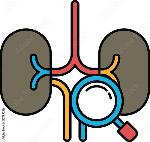 A drawing of a kidney with a magnifying glass on it