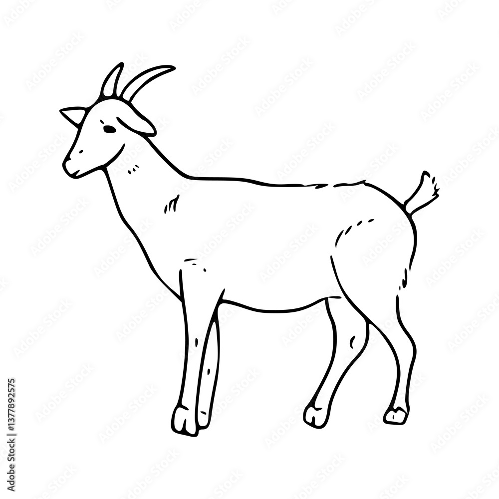 simple goat vector sketch simple goat vector sketch