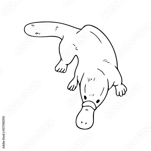 monotreme platypus line art
