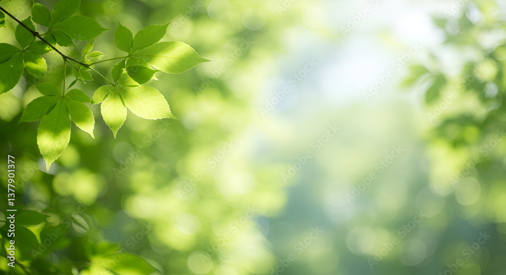 Natural Green Background with Bokeh Lights Natural Green Background with Bokeh Lights