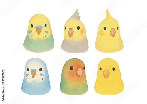手描き風のインコ・鳥のイラストセット