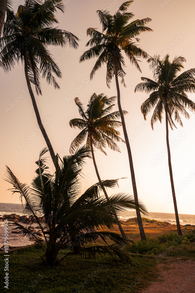 Coastal tropical landscape with palm trees against sunset backdrop. Ocean waves crash onto rocky shores beneath silhouetted palms. World Ocean Day.