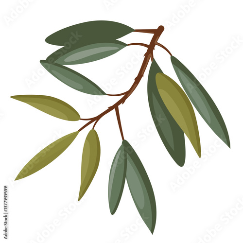 Flat vector illustration of sea buckthorn with leaves and branch, isolated on white background.