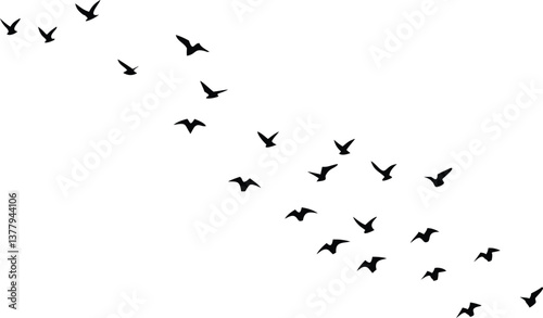 Flock of Birds Silhouettes Flying in Formation, Minimalist Black on White Background