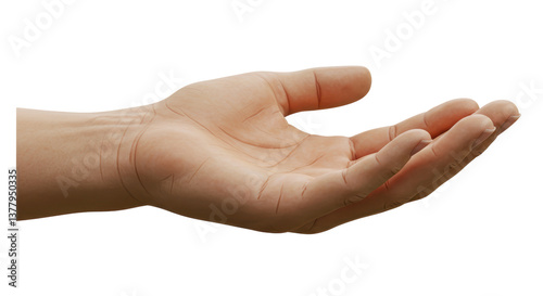 Isolated Open Hand
