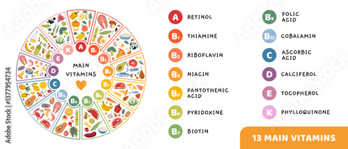 13 Main vitamins, their titles and food sources in circle shape. Infographic for nutrition, wellness and healthcare concepts. Trendy modern vector illustration isolated on white, hand drawn, flat
