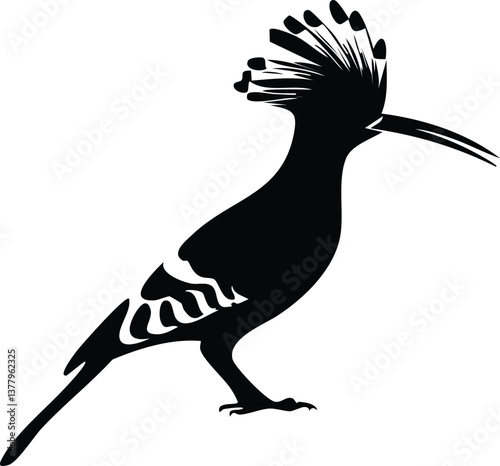 hoopeses silhouette illustration 
